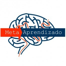 Meta Aprendizado acelerado - Marcelo Maia 2020.2