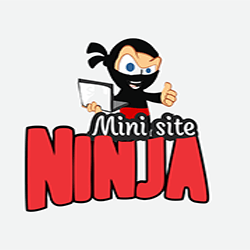 Mini site Ninja 2020.2