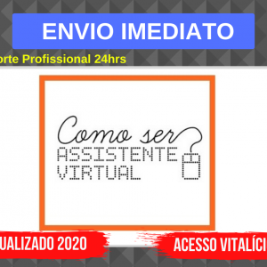 Como Ser Assistente Virtual 3.0 – Camile Just 2020.1