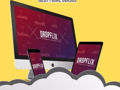 DROPFLIX ECOM 2020.1