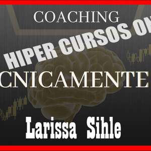 Tecnicamente 2.0 – Larissa Sihle 2020.1