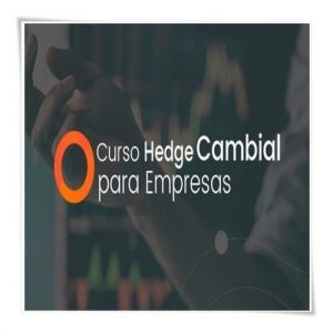 - Hedge Cambial para Empresas - Su Choung Wei